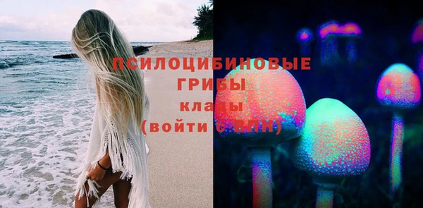 СК Покачи