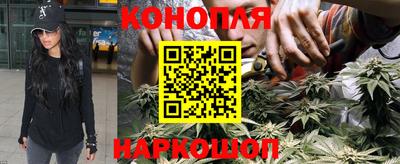 крисы Гусиноозёрск