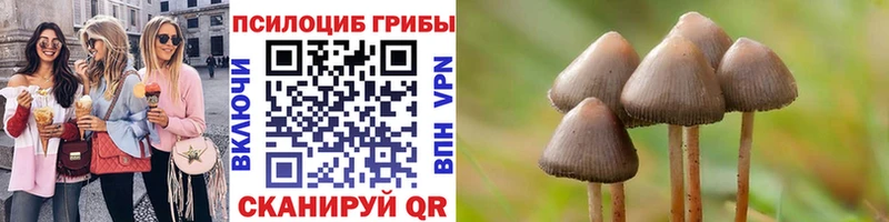 Галлюциногенные грибы GOLDEN TEACHER Полевской