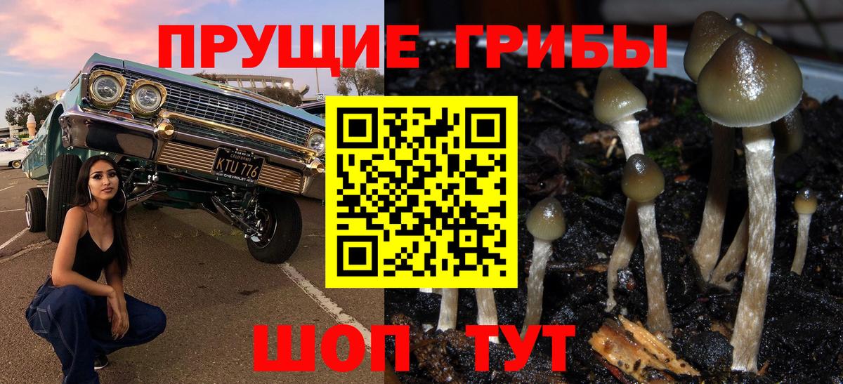 Псилоцибиновые грибы Magic Shrooms Полевской